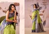 Rang Upavan By Rajpath Tissue Silk Zari Weaving Border Saree